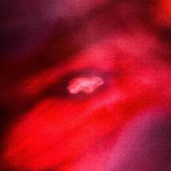 Vinyl The Faded Orbit  Ie Red Vinyl Book