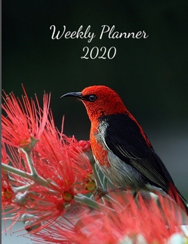 2020 Weekly Planner: Weekly & Monthly Calendar Schedule Organizer With Notes & Expense Tracker Pages, beautiful bird picture on cover, (Daily, Weekly & Monthly Planner 2020)