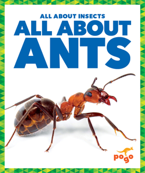 Paperback All about Ants Book