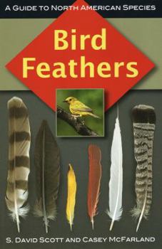 Paperback Bird Feathers: A Guide to North American Species Book