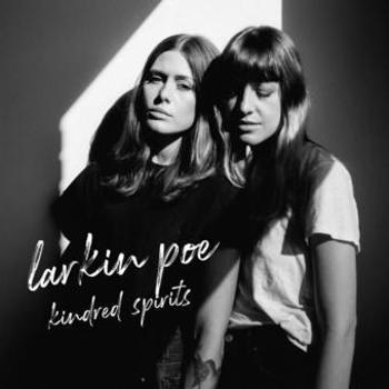 Vinyl Kindred Spirits Book