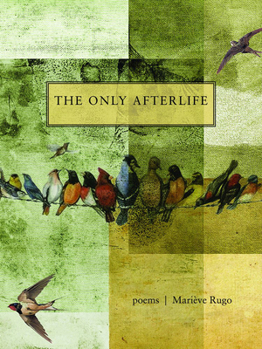 Paperback The Only Afterlife: Poems Book