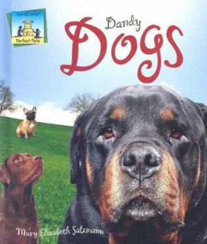 Library Binding Dandy Dogs Book