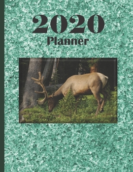 Paperback 2020 Planner: Wild Life Dated Calendar With to Do list, Hunter's Priority Scheduler, Antelope, Large Deer Antlers, Hunting, Hunter Book