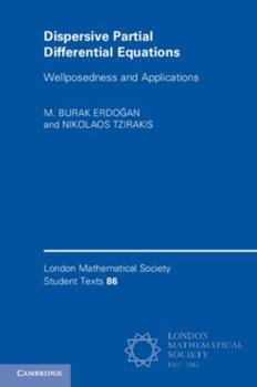 Paperback Dispersive Partial Differential Equations: Wellposedness and Applications Book