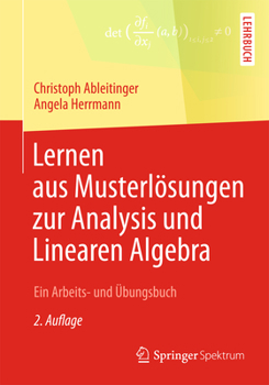 Paperback Lernen Aus Musterlösungen Zur Analysis Und Linearen Algebra: Ein Arbeits- Und Übungsbuch [German] Book