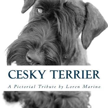 Paperback Cesky Terrier: A Pictorial Tribute Book