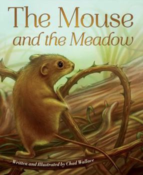 Hardcover The Mouse and the Meadow Book