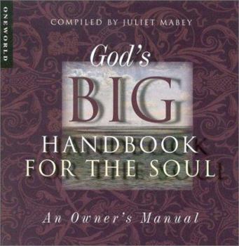 Hardcover God's Big Handbook for the Soul: An Owners Manual Book