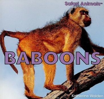 Baboons - Book  of the Safari Animals