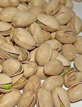 Paperback Pestachios Notebook Large Size 8.5 x 11 Ruled 150 Pages Softcover Book