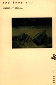 Paperback The long gap Book