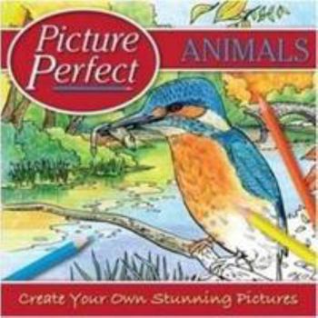 Paperback Animals Stencil Flash Cards Book