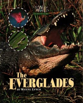 Paperback Everglades Book