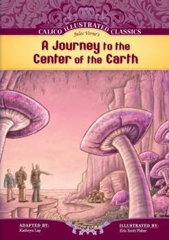 Library Binding Journey to the Center of the Earth Book