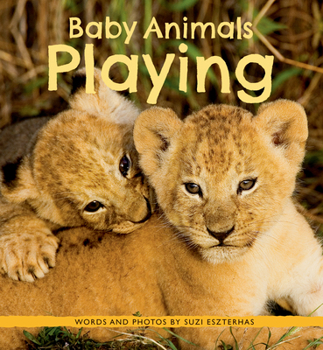 Paperback Baby Animals Playing Book