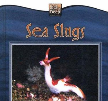 Sea Slugs (Weird Wonders of the Deep) - Book  of the Weird Wonders of the Deep