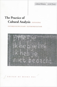 Paperback The Practice of Cultural Analysis: Exposing Interdisciplinary Interpretation Book