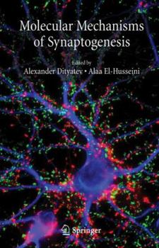 Hardcover Molecular Mechanisms of Synaptogenesis Book