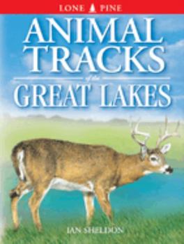 Paperback Animal Tracks of the Great Lakes Book