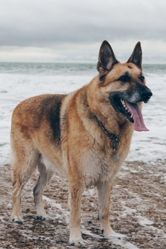 German Shepherd Dog Pup Puppy Doggie Notebook Bullet Journal Diary Composition Book Notepad - On the Beach: Cute Animal Pet Owner Composition Book with 100 Quad Ruled Graph Paper Pages in 6” x 9” Inch