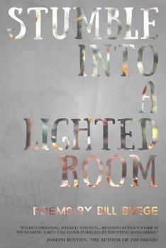 Paperback Stumble Into a Lighted Room Book