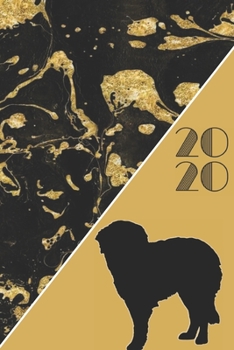 2020: 2020 Sunday Start Monthly Calendar and Organizer | Hovawart Gift for Women