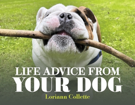 Paperback Life Advice from Your Dog Book