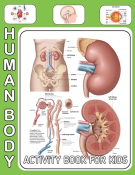 Human Body Activity Book For Kids: An Amazing Inside-Out Tour of the Human Body (National Geographic Kids) - Bones, Muscles, Blood, Nerves and How They Work (Coloring Books) (Dover Children's Science 