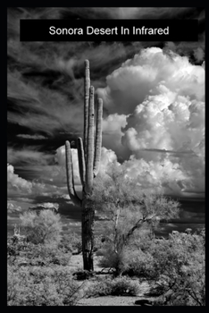 Paperback Sonora Desert In Infrared Book