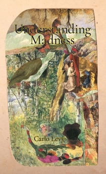 Paperback Understanding Madness Book