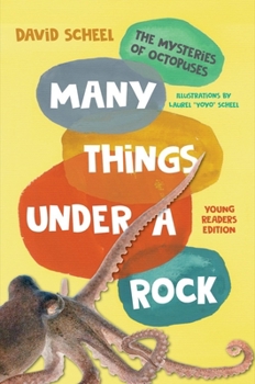 Hardcover Many Things Under a Rock Young Readers Edition: The Mysteries of Octopuses Book