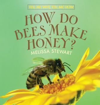 Library Binding How Do Bees Make Honey? Book