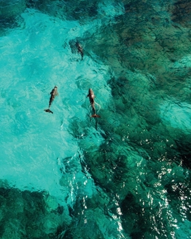 2020 Isla Mujeres Paradise Planner: Punta Sur Turquoise Water and Playing Dolphins 1 Year Weekly Planner,  8x10 Work, Travel, School, Home Organizer. ... more! (Paradise Lifestyle Organizer Series)