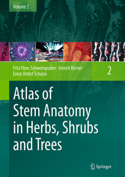 Paperback Atlas of Stem Anatomy in Herbs, Shrubs and Trees: Volume 2 Book