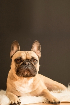 French Bulldogs Dog Pup Puppy Doggie Notebook Bullet Journal Diary Composition Book Notepad - Lying Around: Cute Animal Pet Owner Composition Book ... Ruled Lined Paper Pages in 6” x 9” Inch