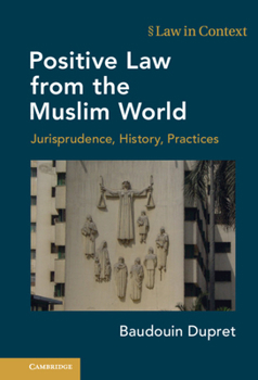 Hardcover Positive Law from the Muslim World: Jurisprudence, History, Practices Book