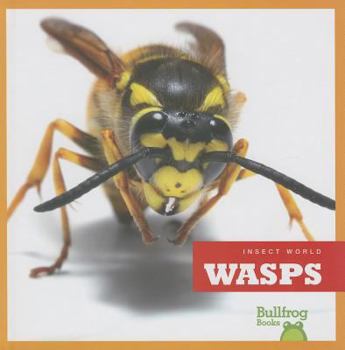 Wasps - Book  of the Insect World