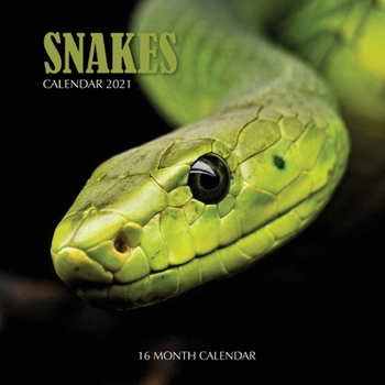 Paperback Snake Calendar 2021: 16 Month Calendar Book
