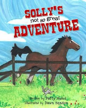Paperback Solly's not-so-great Adventure Book