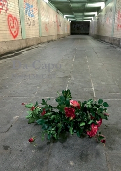 Paperback Da Capo Book