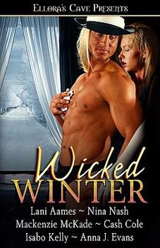 Paperback Wicked Winter Book