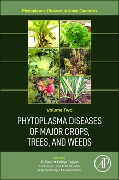 Paperback Phytoplasma Diseases of Major Crops, Trees, and Weeds Book