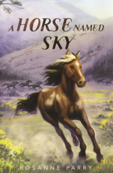 Library Binding Horse Named Sky Book