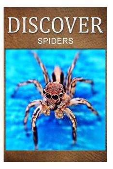 Paperback Spiders - Discover: Early reader's wildlife photography book