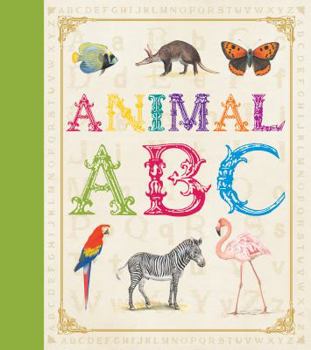 Hardcover Animal ABC Book