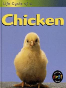 Life Cycle of a Chicken
