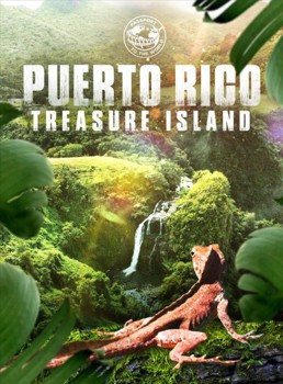 DVD Puerto Rico: Treasure Island Book