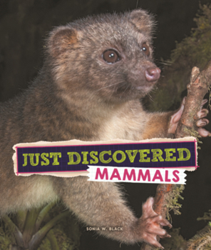 Library Binding Just Discovered Mammals Book
