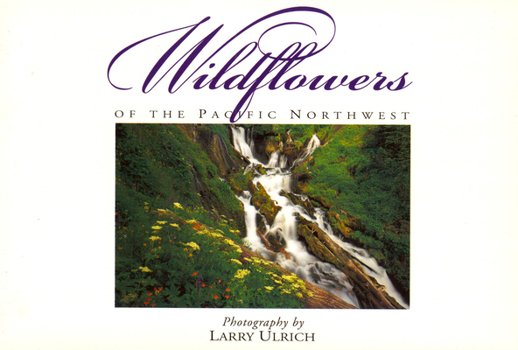 Card Book Wildflowers of the Pacific Northwest: Twenty Postcards Book